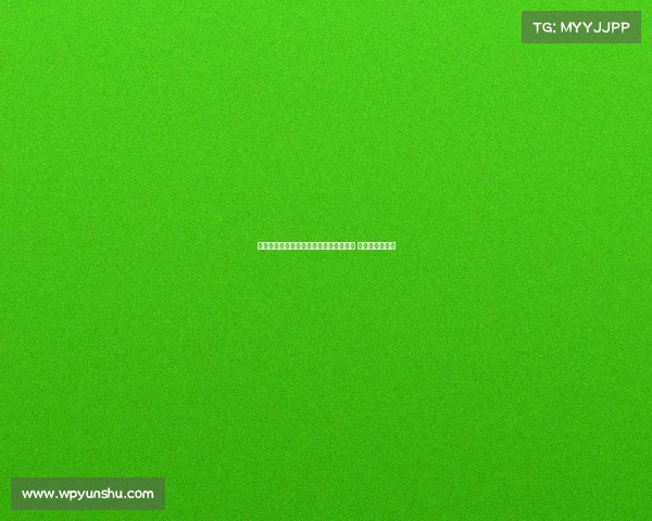 武汉三镇队首发与替补球员名单正式公布 新赛季阵容曝光